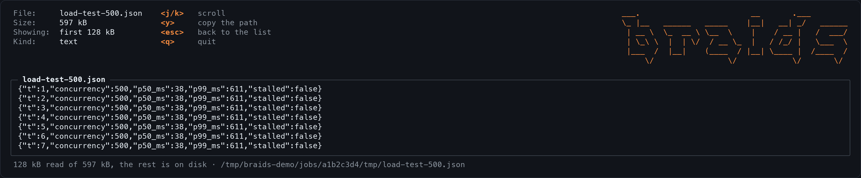 braids: the file screen